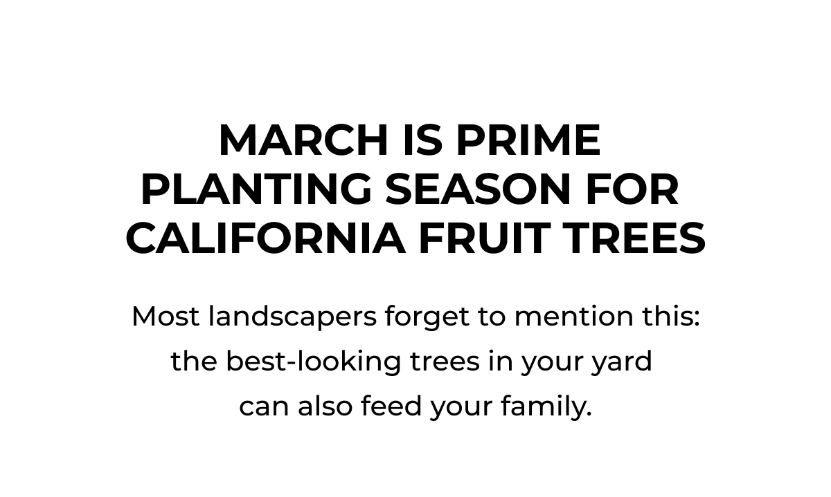 MARCH IS PRIME PLANTING SEASON FOR CALIFORNIA FRUIT TREES
