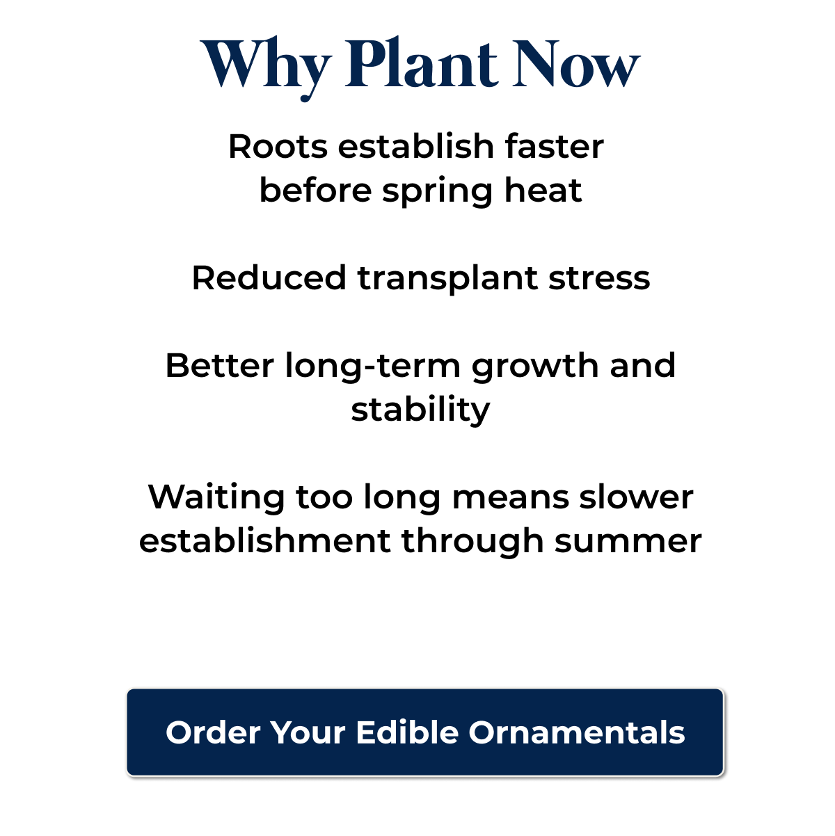 Why Plant Now Roots establish faster before spring heat