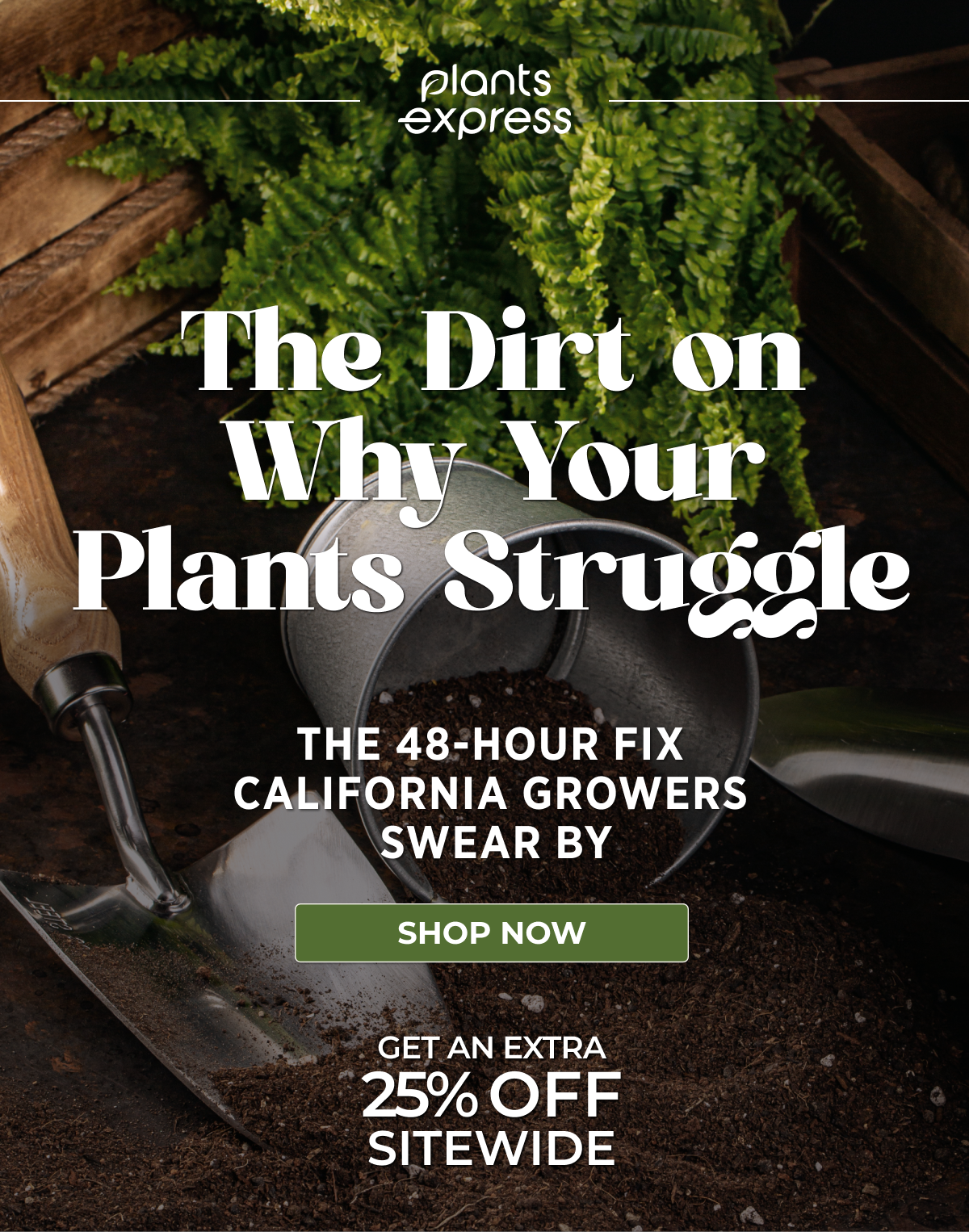 The Dirt on Why Your Plants Struggle