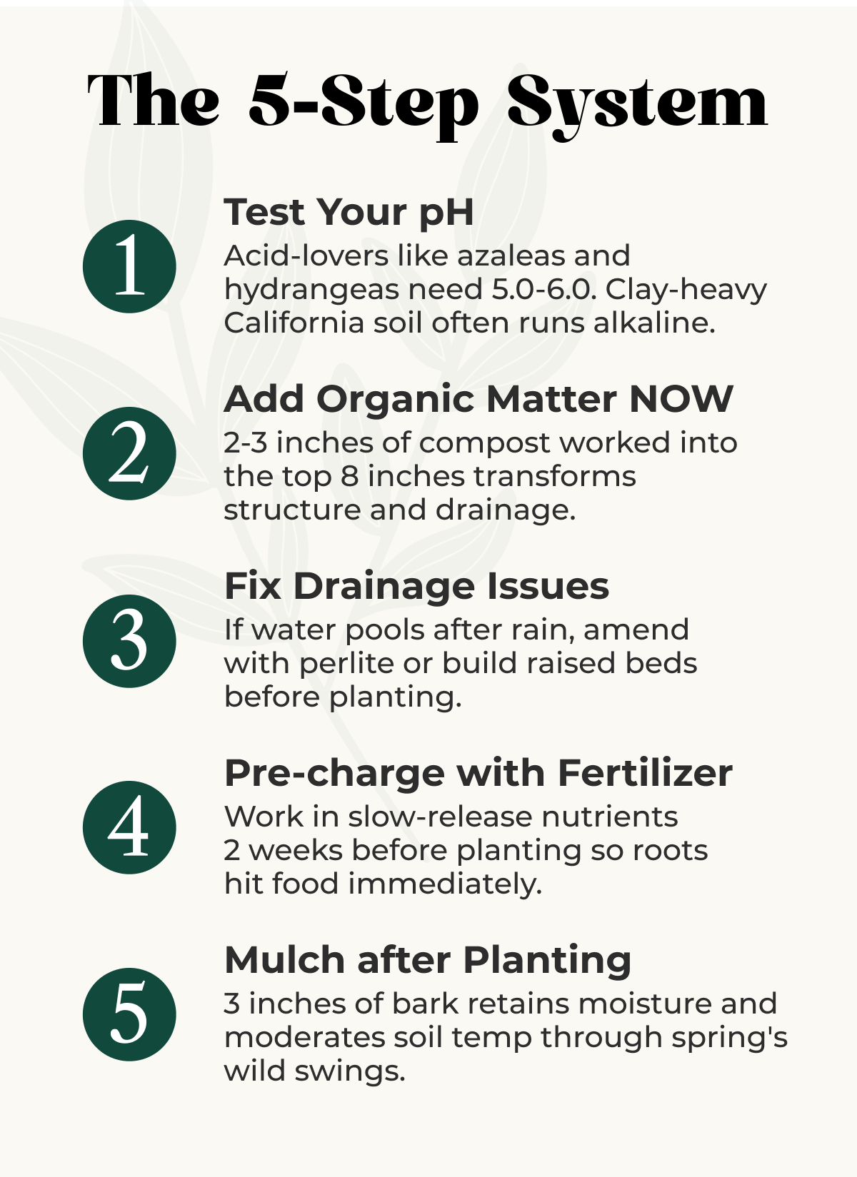 The 5-Step System