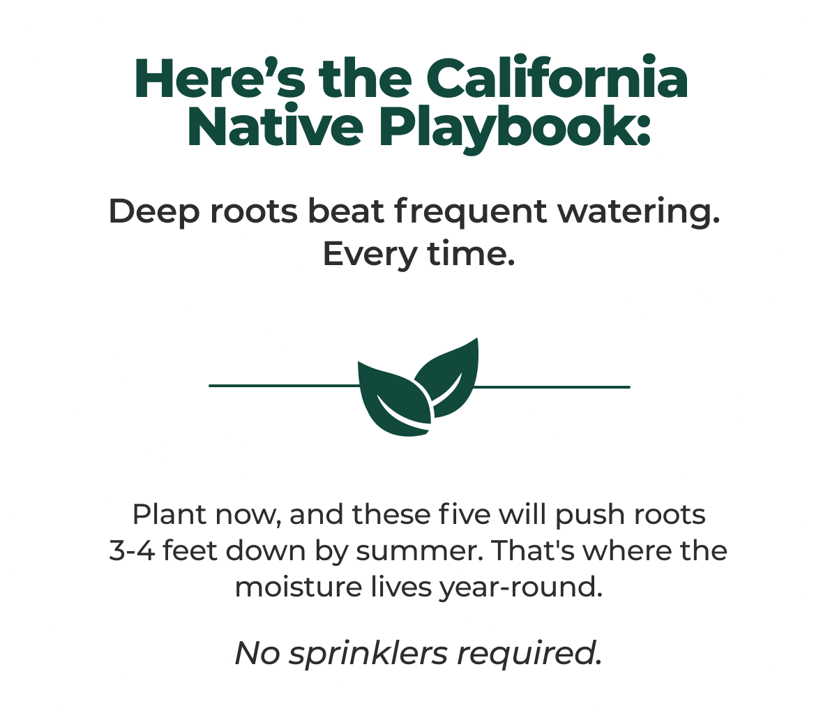 Here's the California Native Playbook