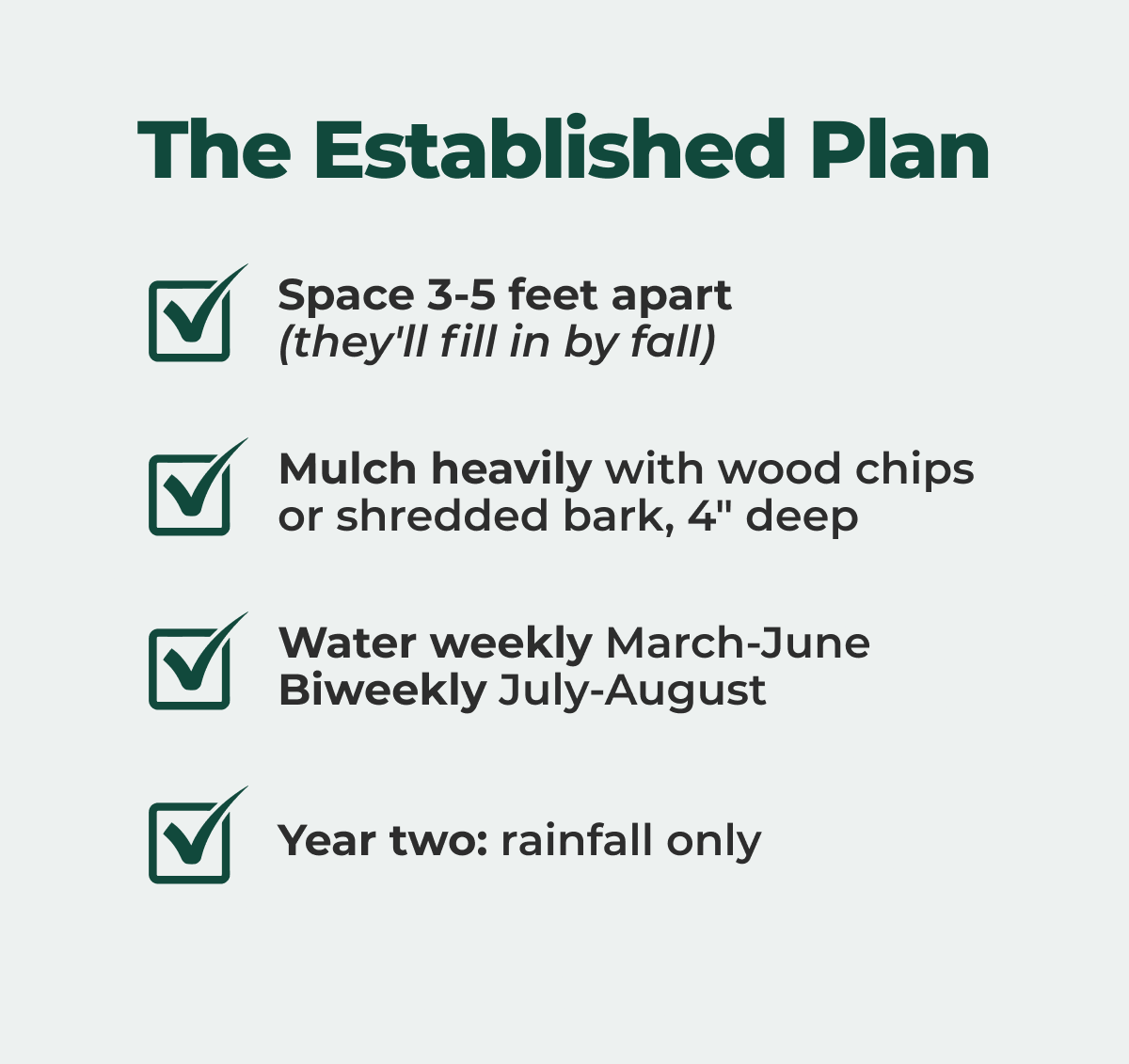 The Established Plan