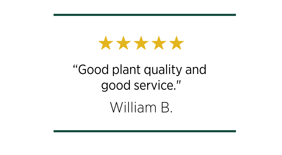 "Good plant quality and good service."