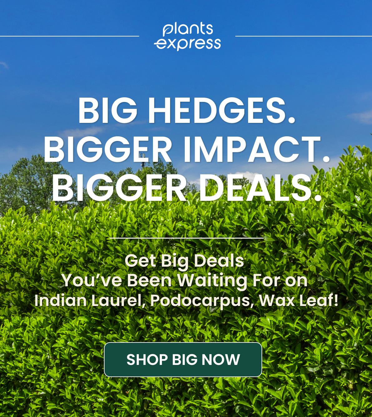 BIG HEDGES. BIGGER IMPACT. BIGGER DEALS.