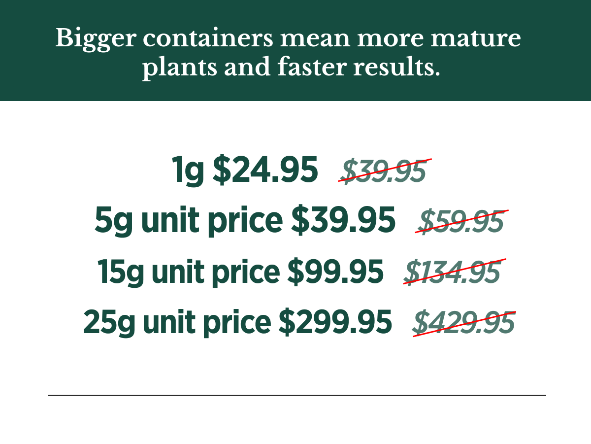 Bigger containers mean more mature plants and faster results.
