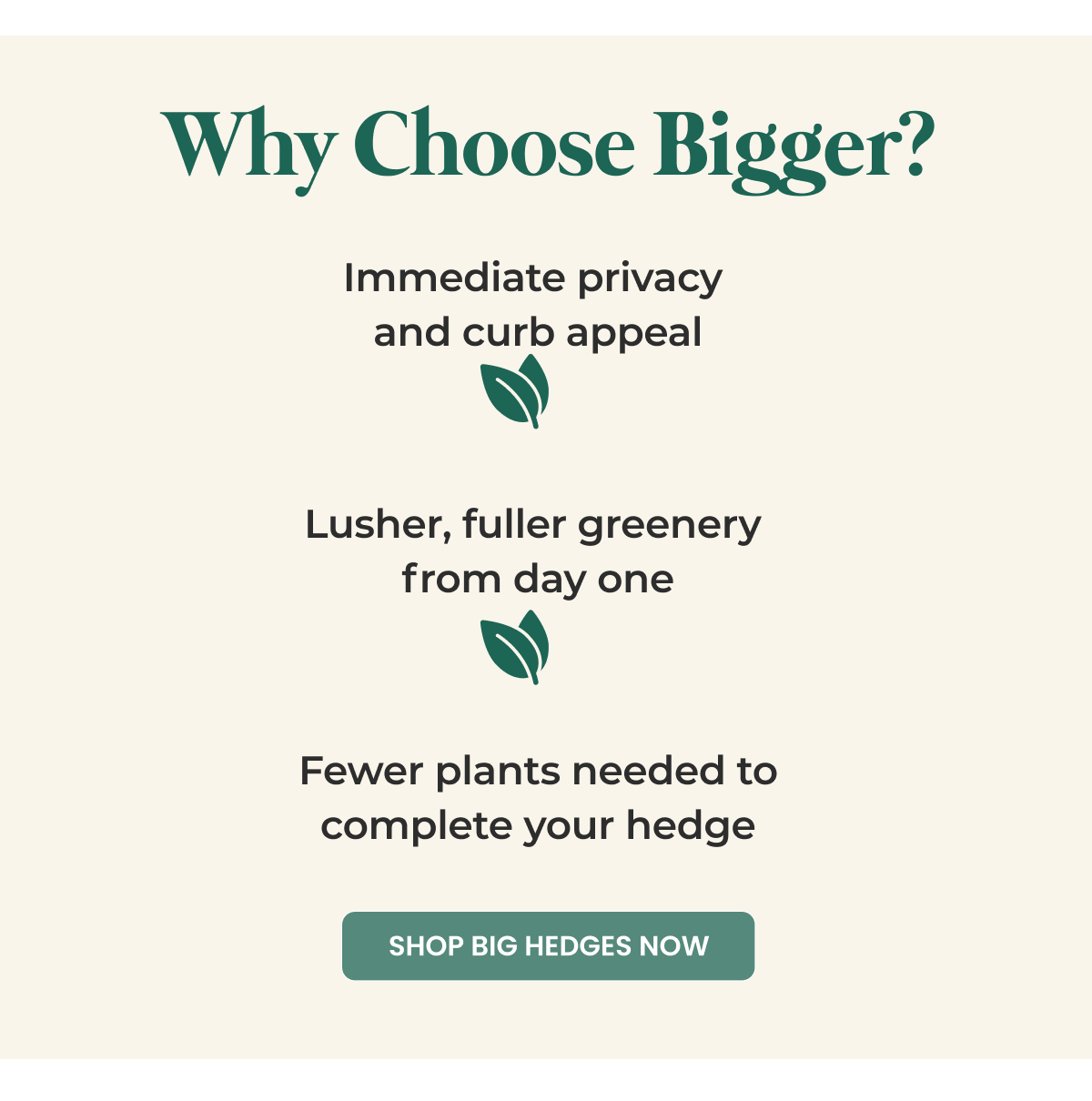 Why Choose Bigger?