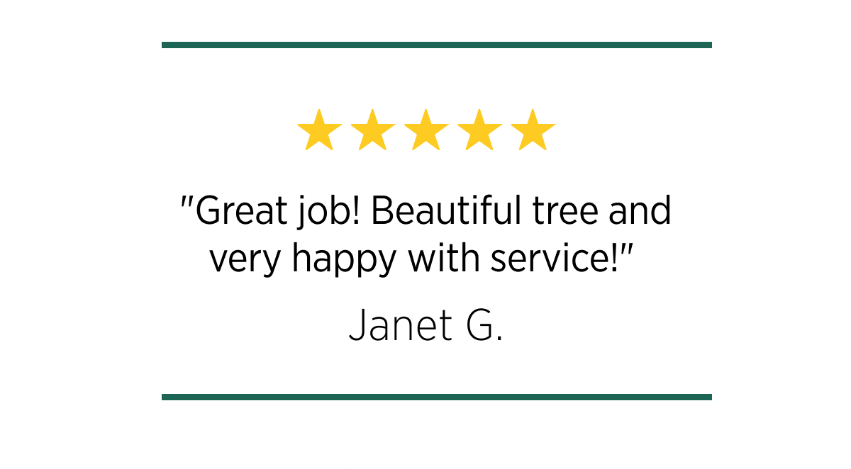 "Great job! Beautiful tree and very happy with service!"