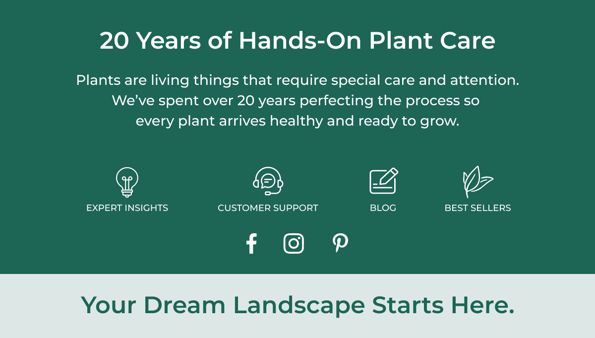 20 Years of Hands-On Plant Care