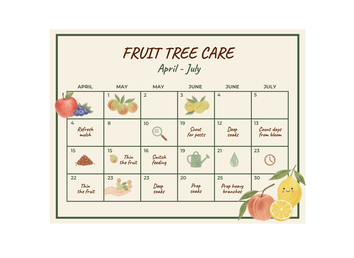 Fruit Tree Care Calendar: April to July, seven numbered tasks from thinning to harvest
