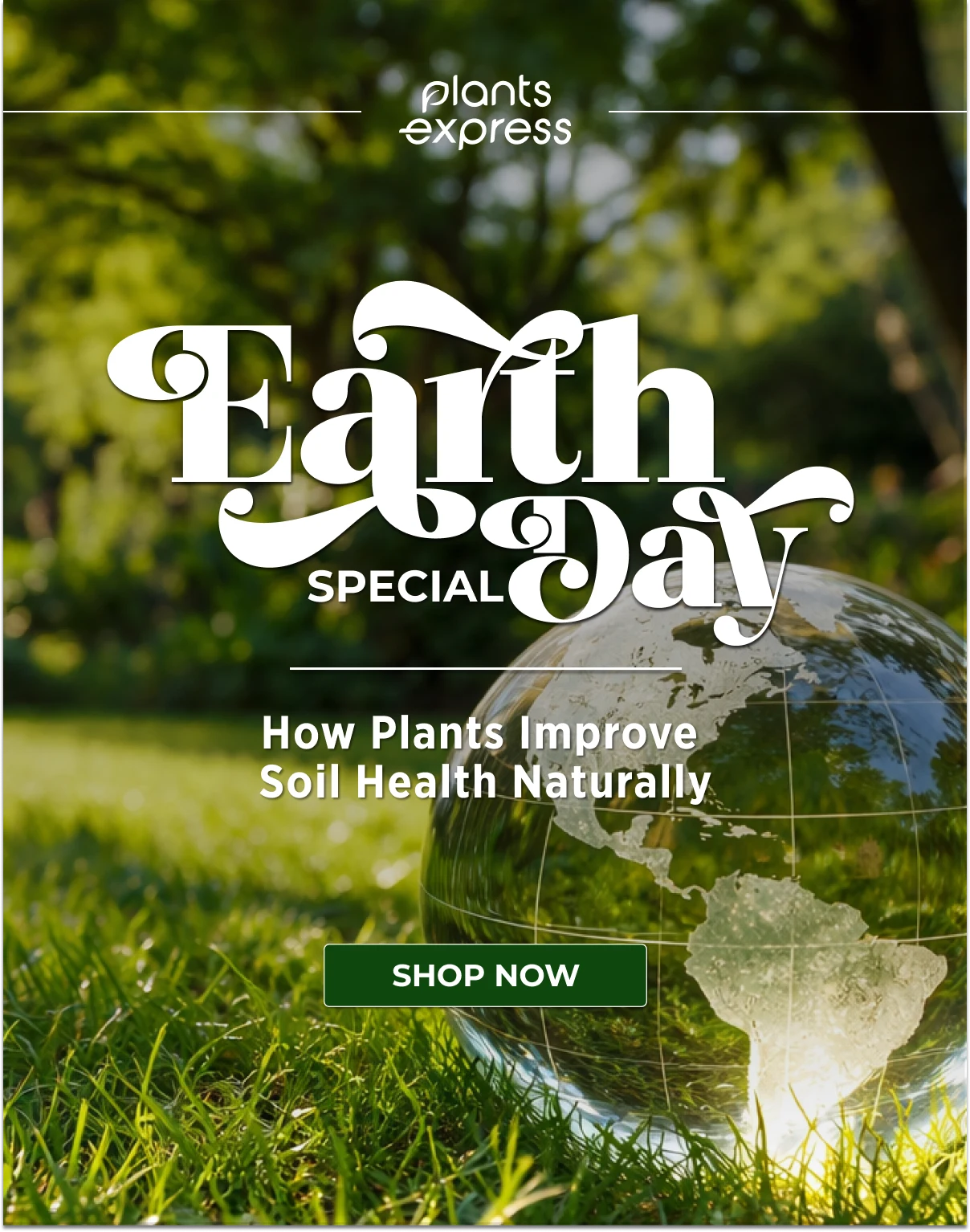 Earth Day Special — How Plants Improve Soil Health Naturally