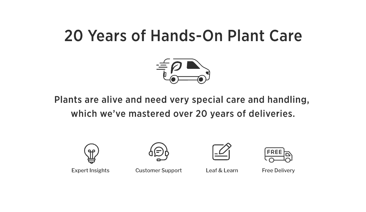 Plants Express - Free Shipping, Expert Insights, Customer Support