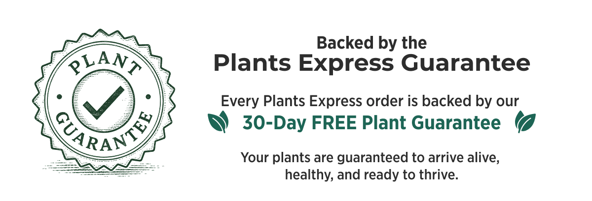 Plants Express Guarantee 