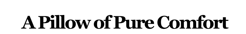 Alt="A Pillow of Pure Comfort"