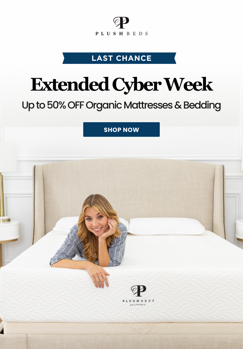 Alt="Last Chance Cyber Week"
