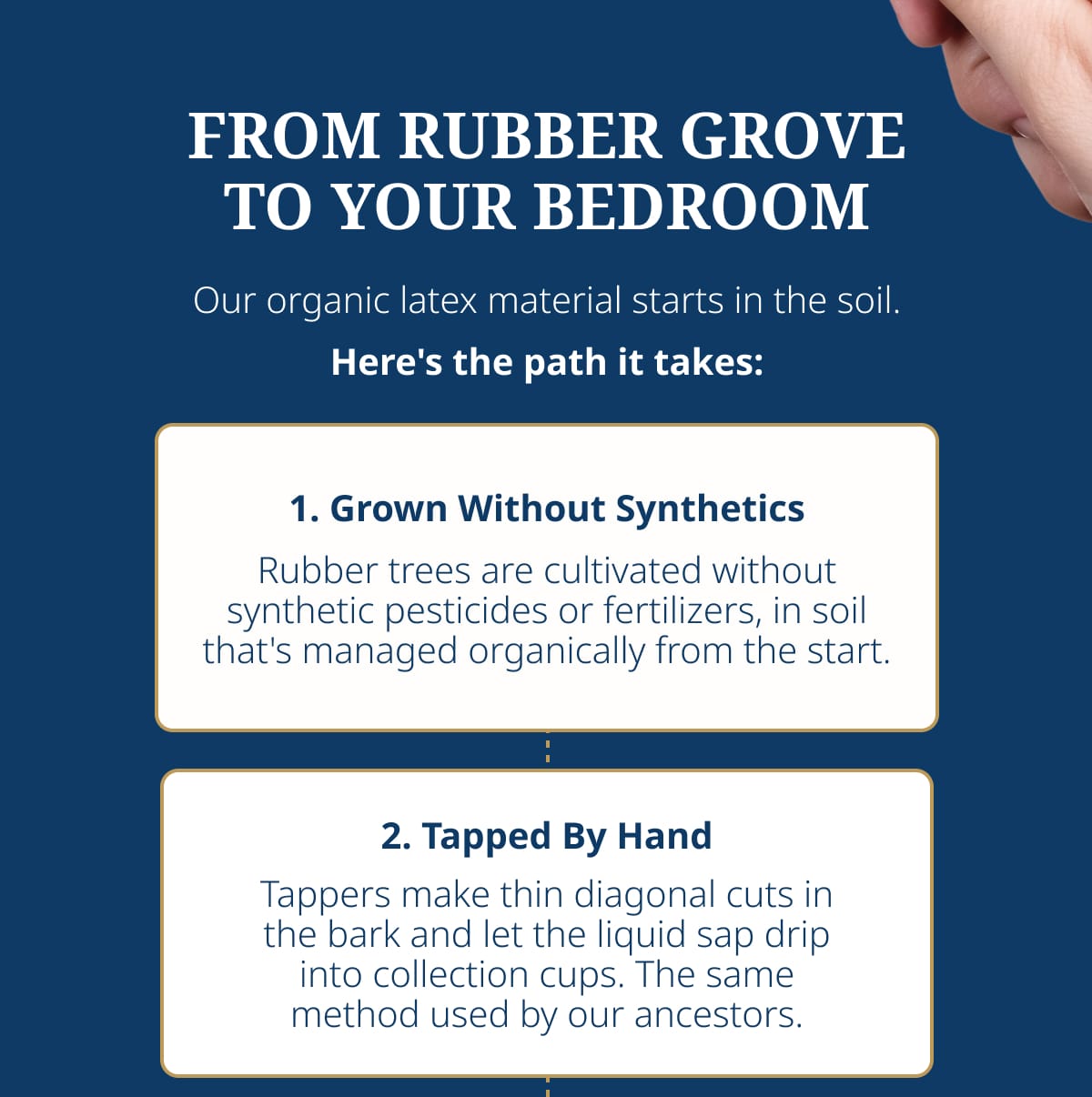 FROM RUBBER GROVE TO YOUR BEDROOM