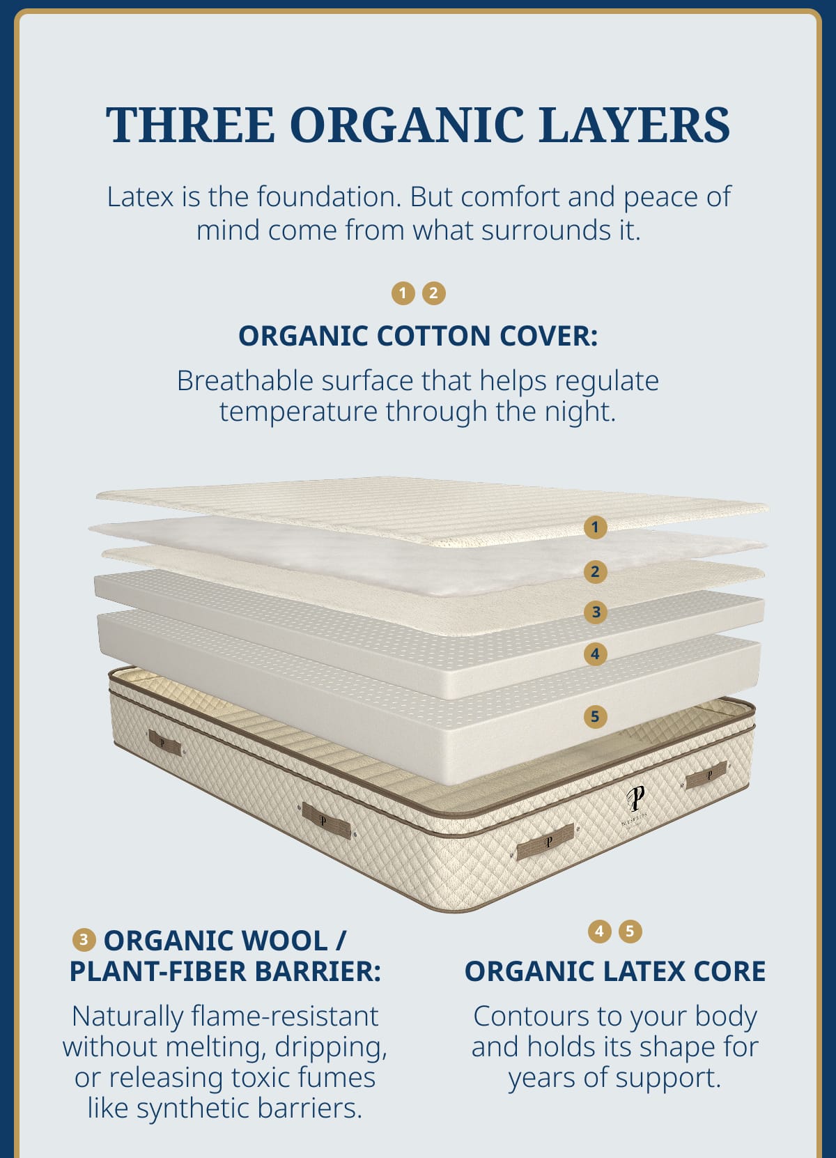 THREE ORGANIC LAYERS