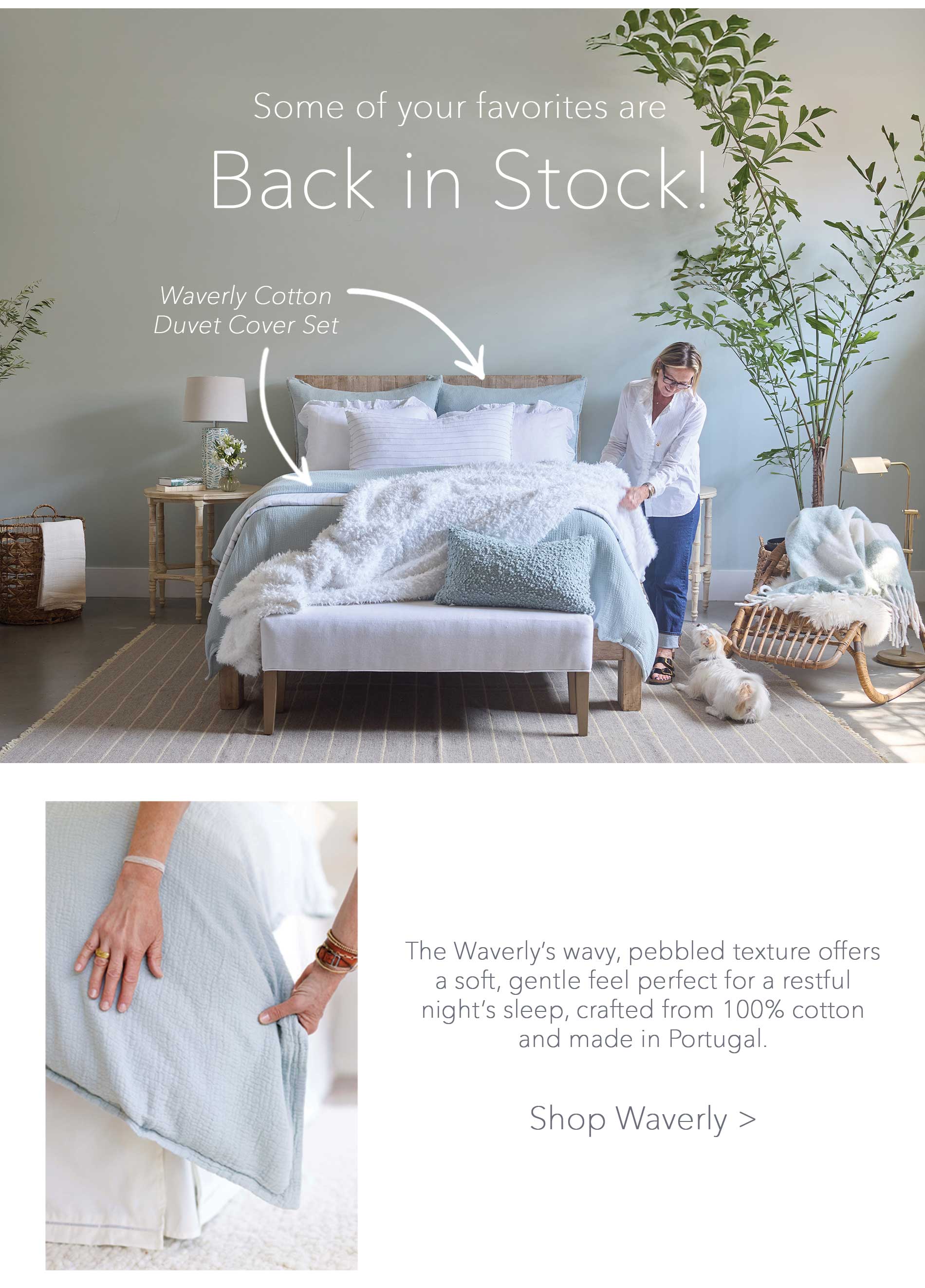 Shop Waverly