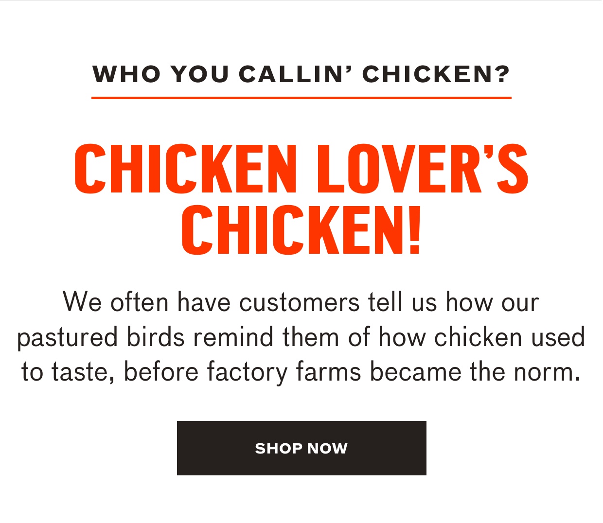 Shop new chicken