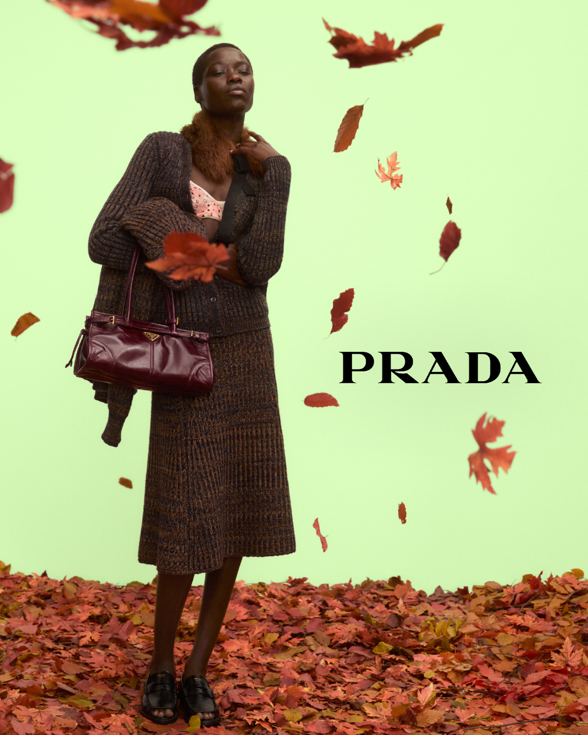 Prada hero