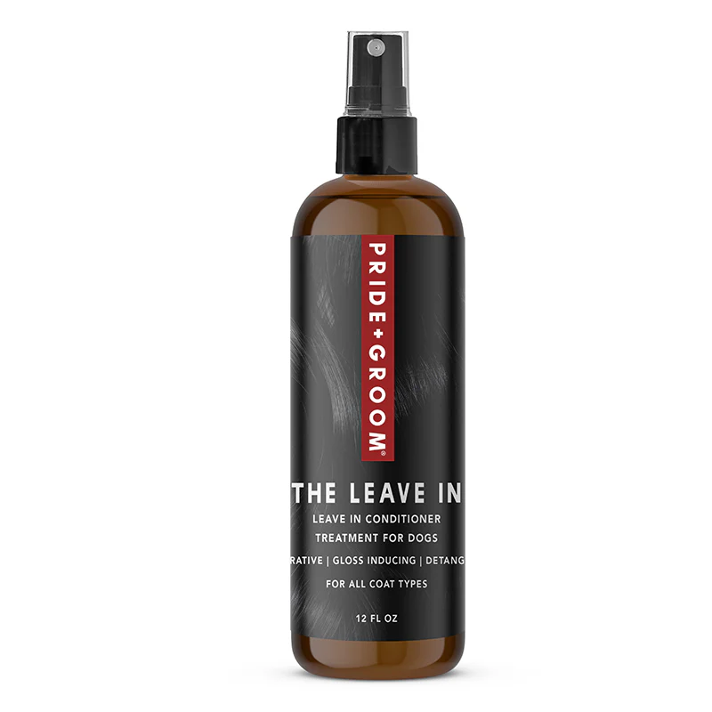 Image of THE LEAVE IN