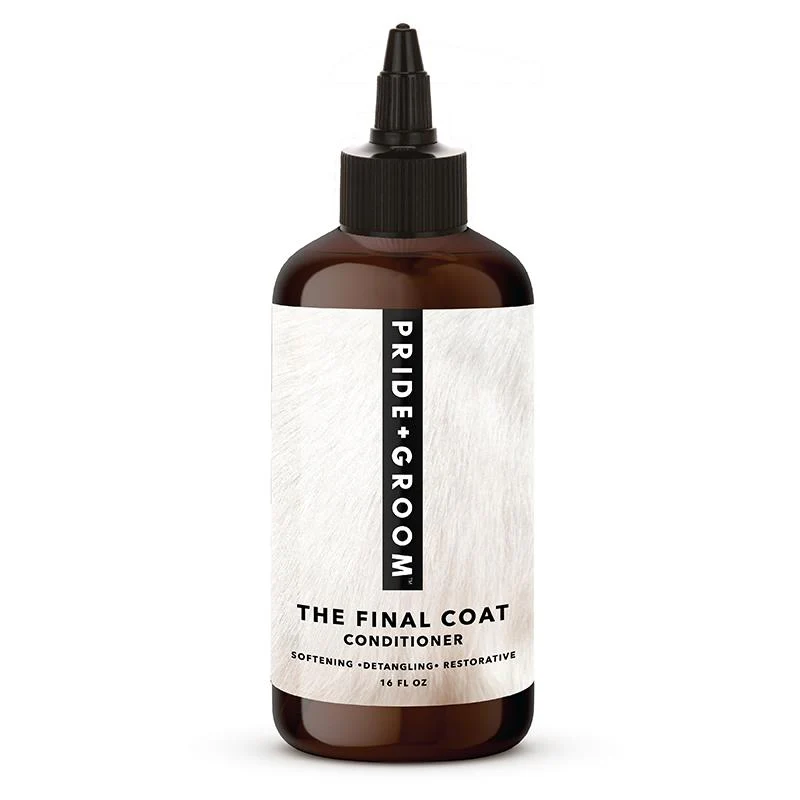 Image of THE FINAL COAT