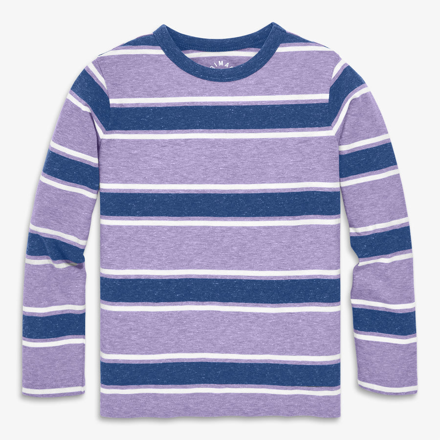 Kids heathered long sleeve tee in field stripe