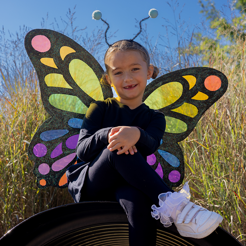 Rainbow Butterfly