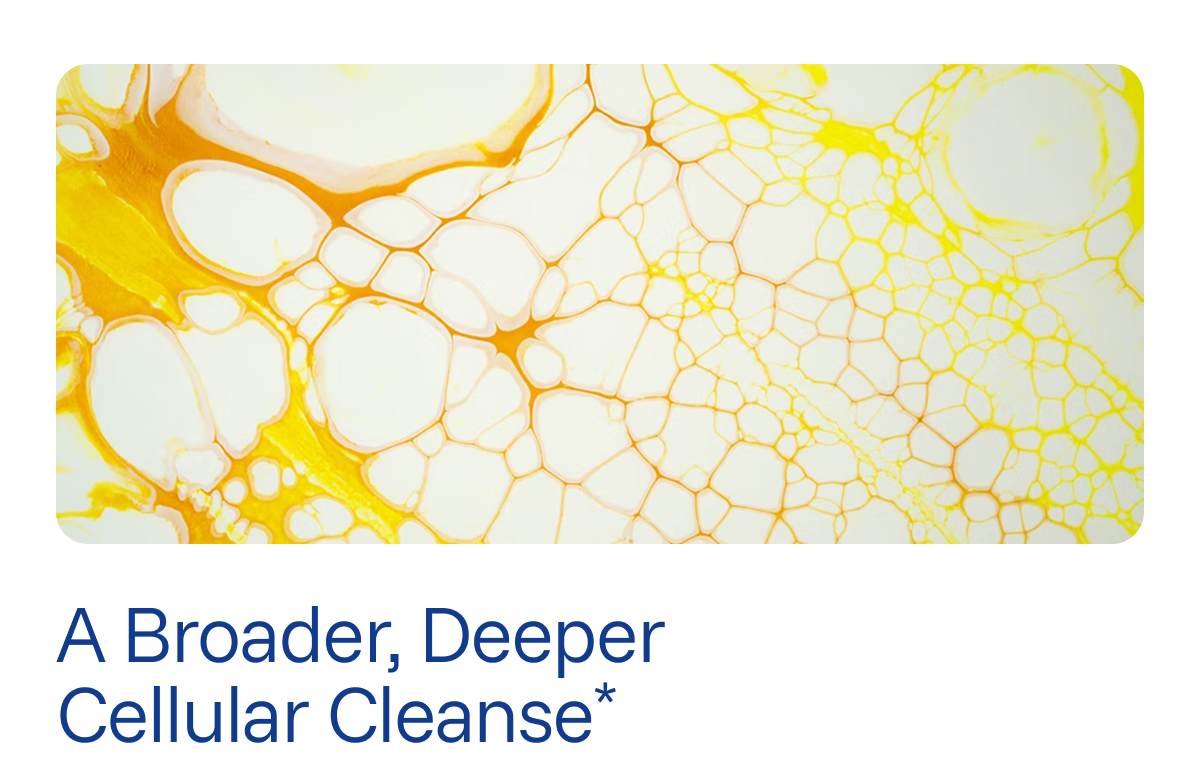 A broader, deeper cellular cleanse