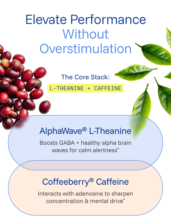 Fast Acting Nootropic