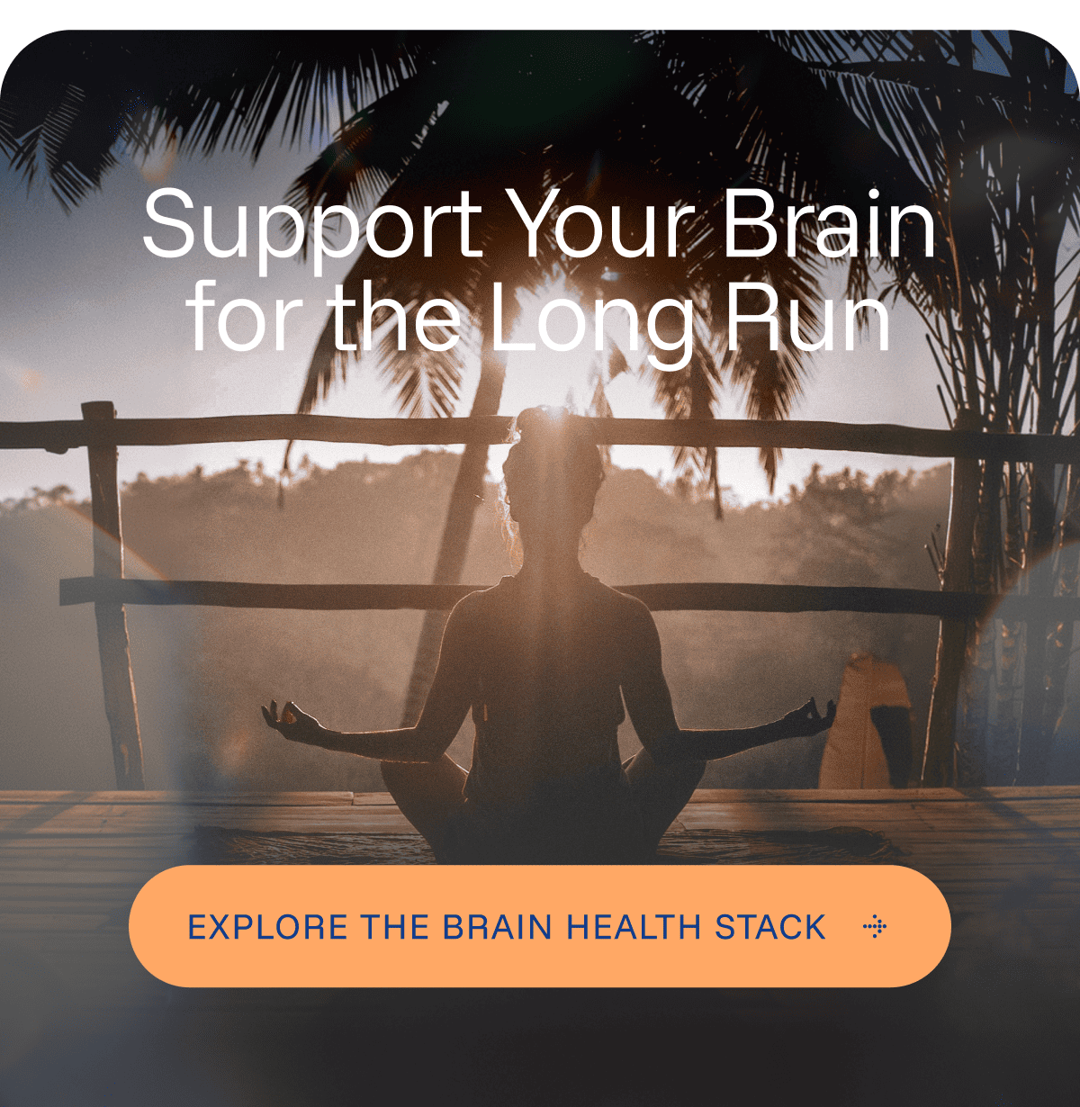 Support Your Brain for the Long Run