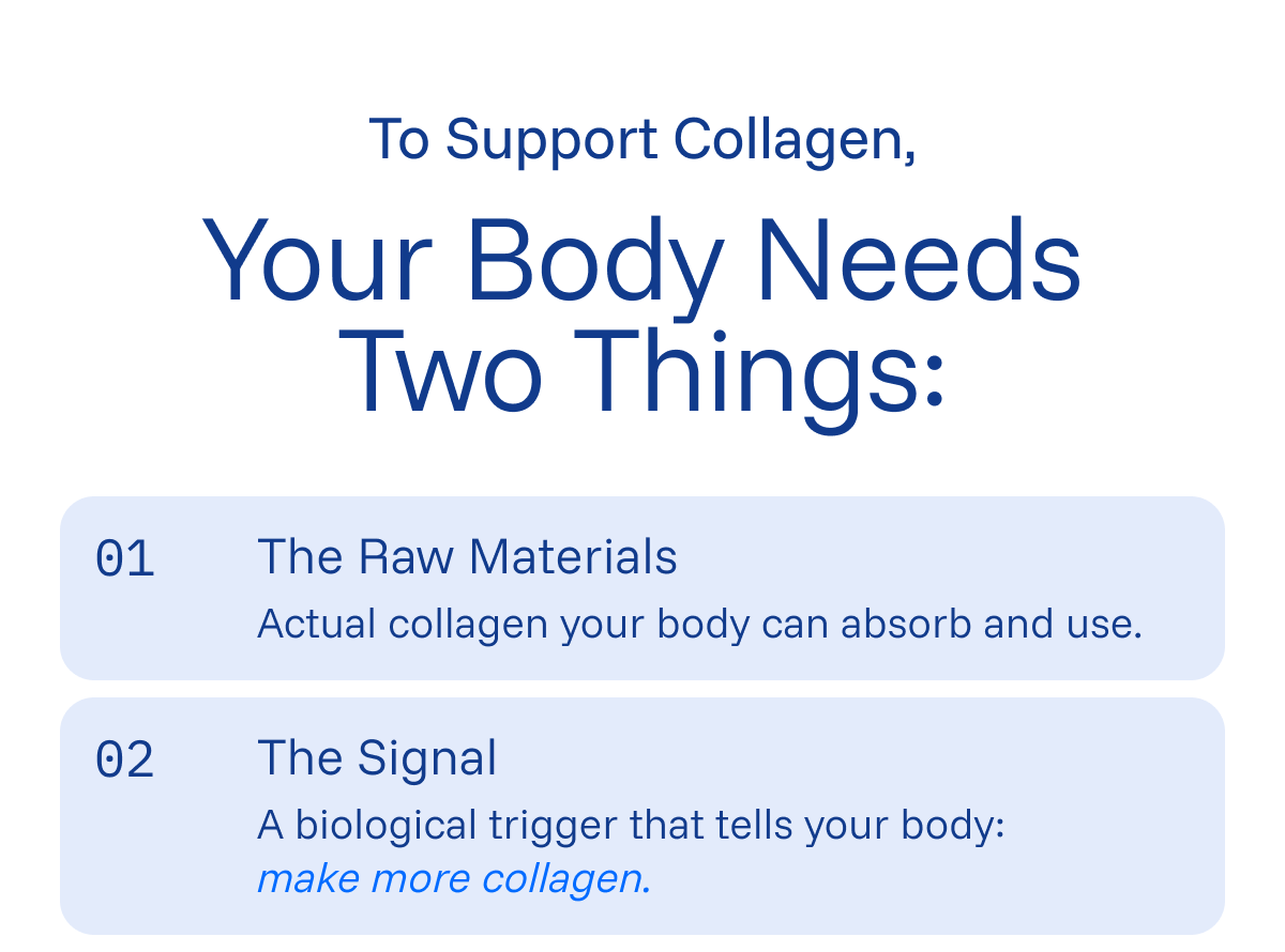 To Support Collagen, Your Body Needs Two Things: 