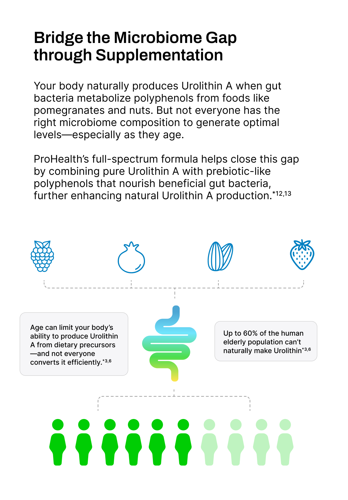 Full Spectrum Urolithin A