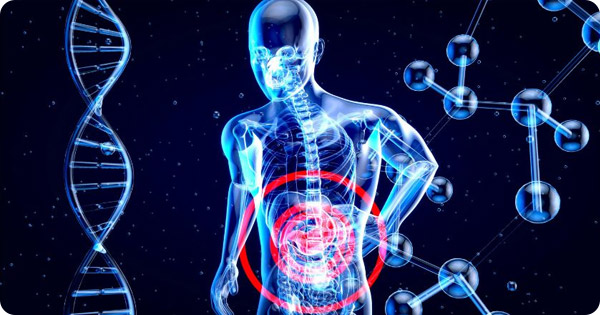 Can a “Younger” Gut Microbiome Turn Back Liver Aging