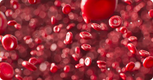 Scientists Make Old Blood Stem Cells Act Young Again