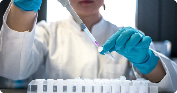 Aging Gut "Messages" May Drive Inflammation