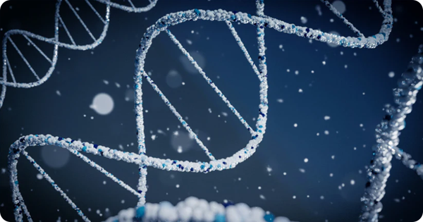 The First "Age‑Rewind" Gene Therapy