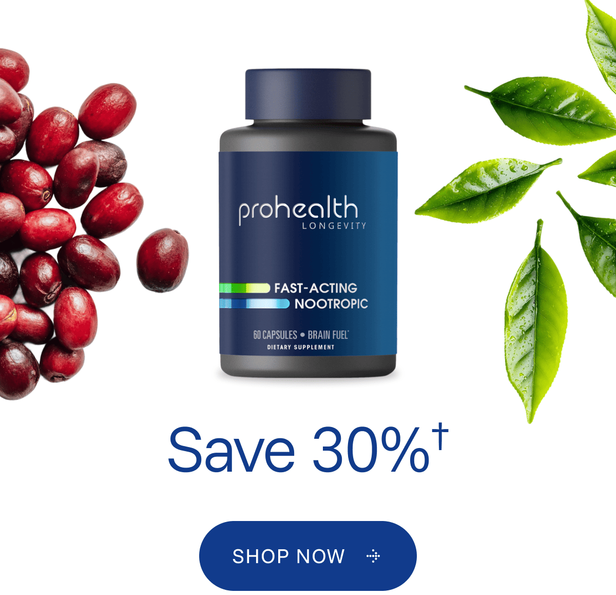 Fast Acting Nootropic