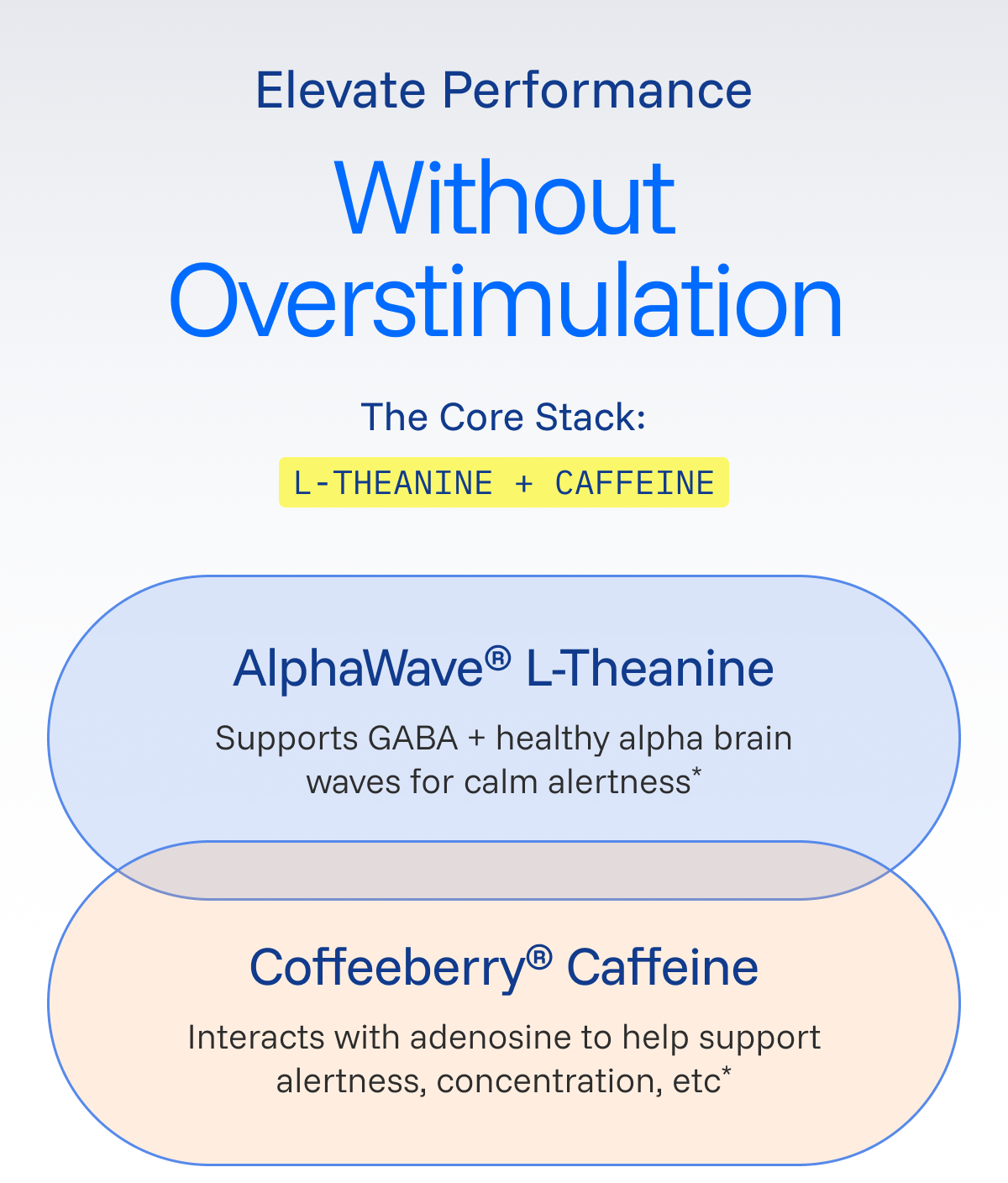 Fast Acting Nootropic