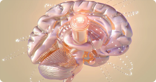 The Hypothalamus Switch