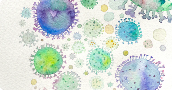 Did Microbes Help Build Your Brain