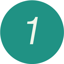 icon 1