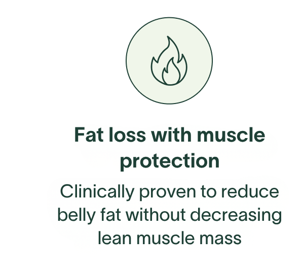 Fat loss with muscle protection - Clinically proven to reduce belly fat without decreasing lean muscle mass