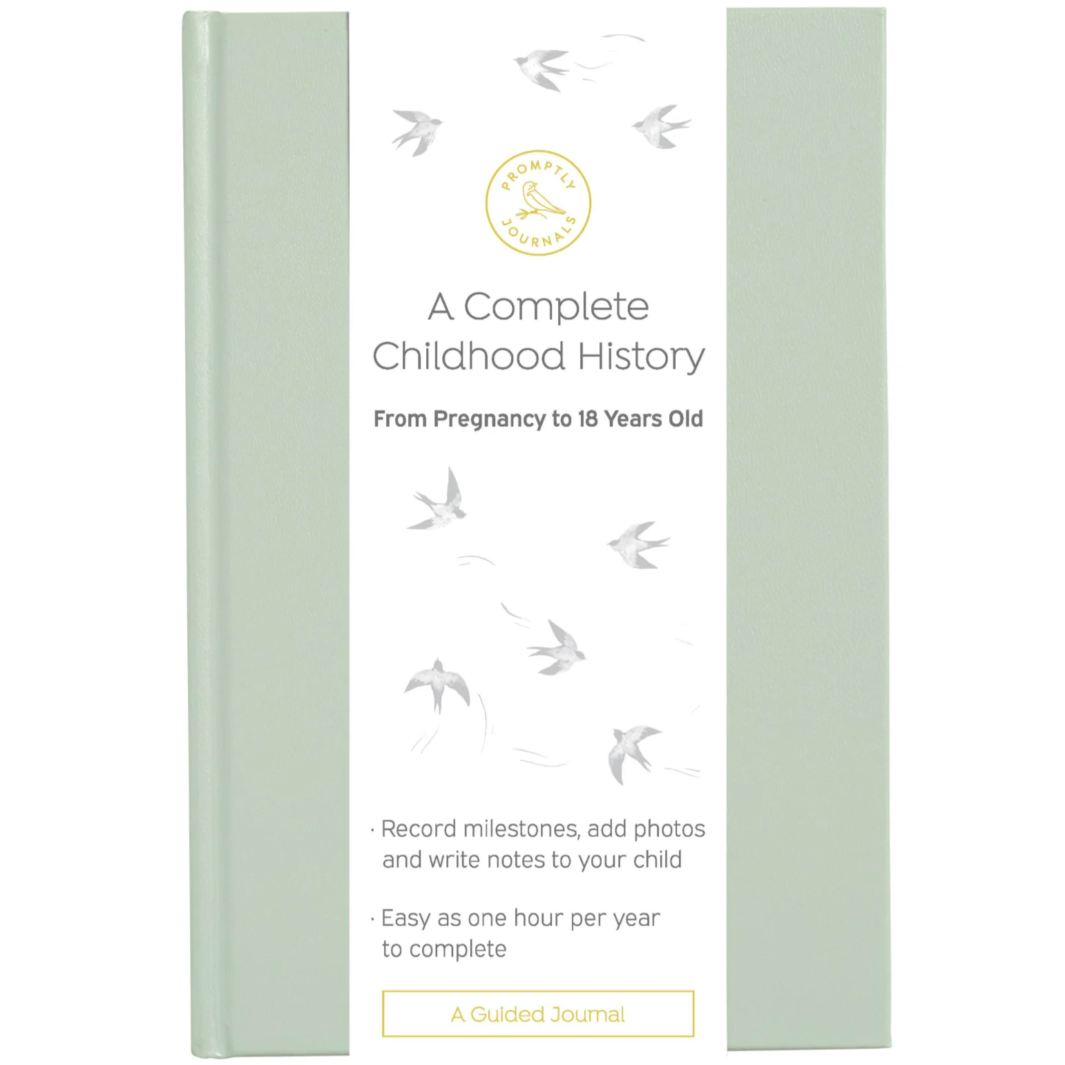 Image of A Complete Childhood History: From Pregnancy to 18 Years Old (Aloe Green, Leatherette)