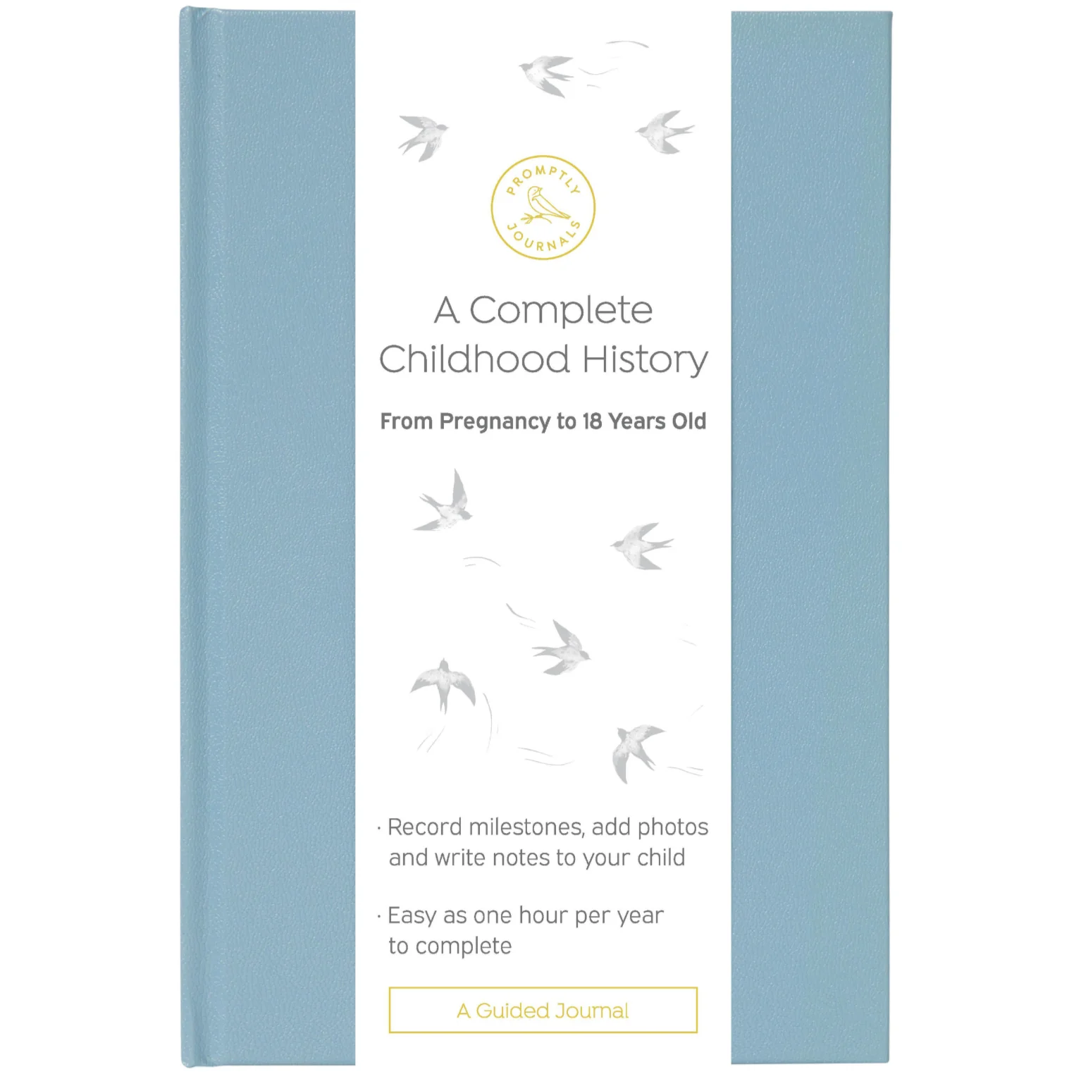 Image of A Complete Childhood History: From Pregnancy to 18 Years Old (Dusty Blue, Leatherette)