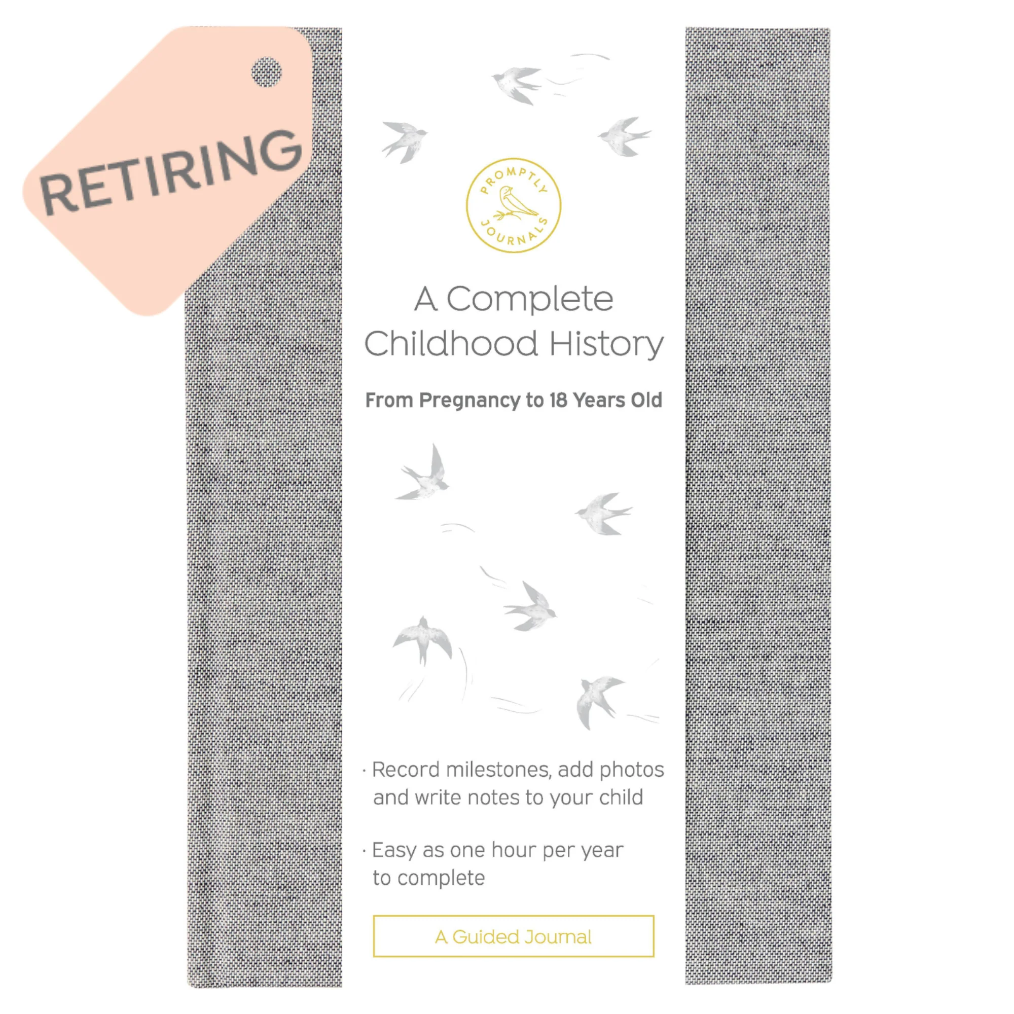Image of A Complete Childhood History: From Pregnancy to 18 Years Old (Grey Tweed, Linen)