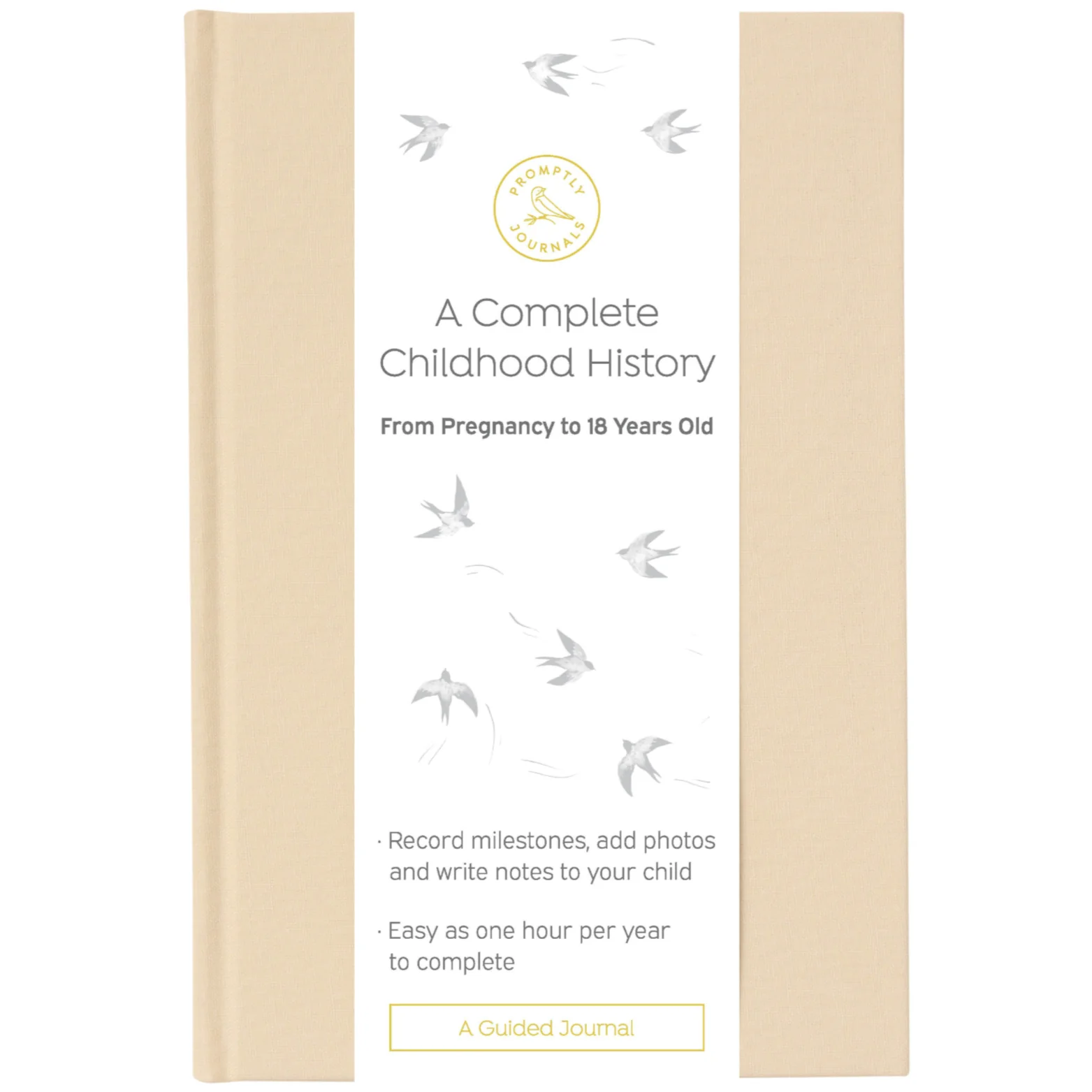 Image of A Complete Childhood History: From Pregnancy to 18 Years Old (Sand Brown, Linen)