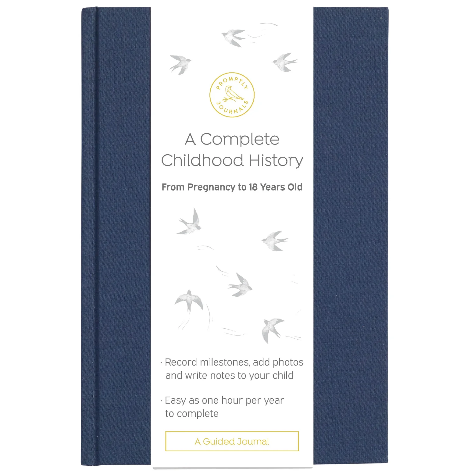 Image of A Complete Childhood History: From Pregnancy to 18 Years Old (Navy Blue, Linen)