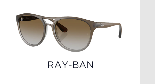 Ray-Ban Men's Brad Sunglasses RB4170