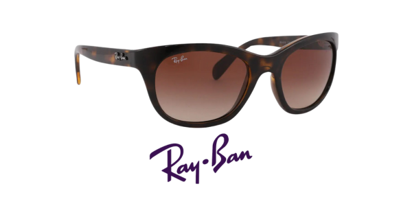 Oakley Flak Beta Sunglasses