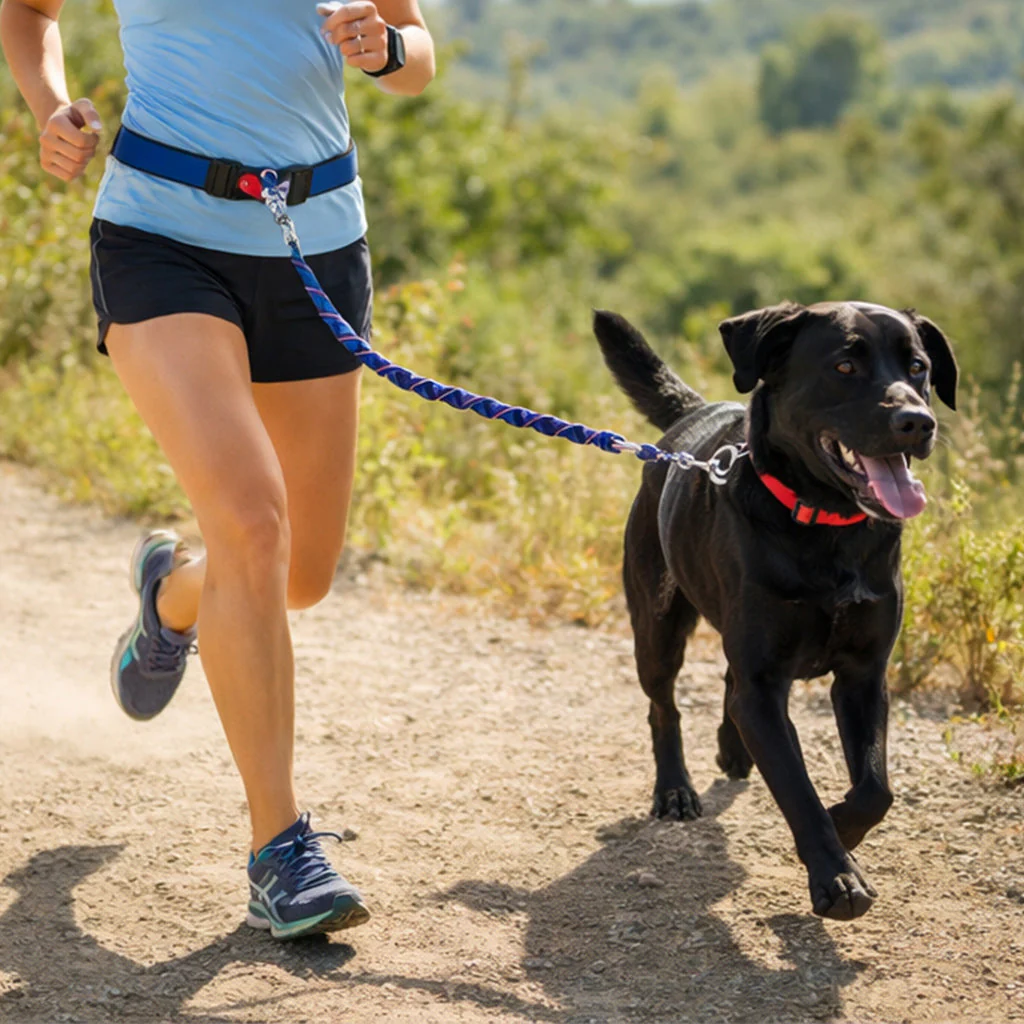 Pet Esssentials: Up to 72% Off at Zulily